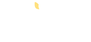 想橡栎